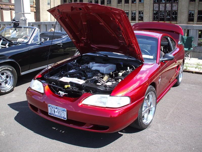 http://i15.photobucket.com/albums/a351/95gts/buffaloterminal055.jpg