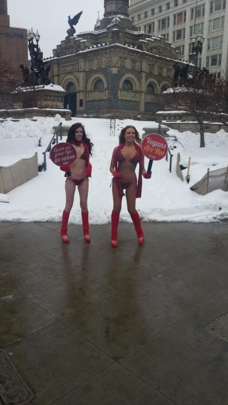 20140214_121101.jpg
