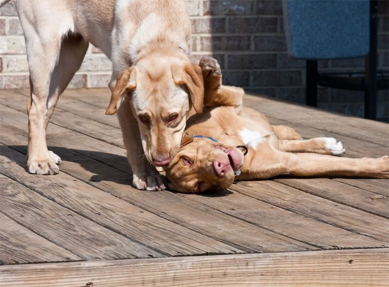 IMAGE: http://i15.photobucket.com/albums/a352/jholbrook/Family%20Photos/march4.jpg