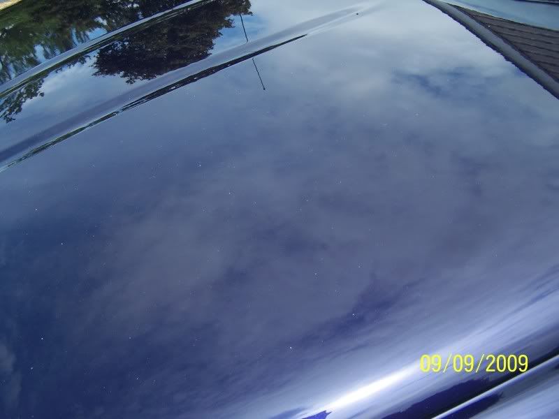 100_1530.jpg