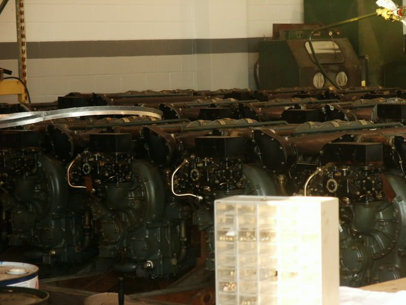 roar-n-soar07102.jpg