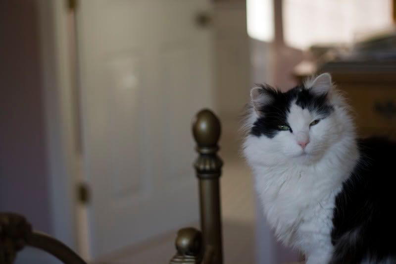 IMAGE: http://i15.photobucket.com/albums/a353/pythnguy/D30/30D/Pinky.jpg