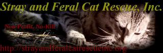 Stray and Feral Cat Rescue, Inc