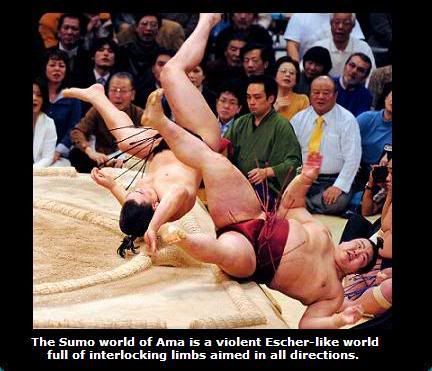 sumo akimbo