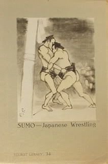 sumo_tourist_library34.jpg