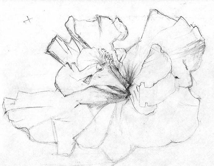 A Turkey's Sketchbook (upd. Sept 16) A Turkey's Sketchbook (upd. Sept 16)