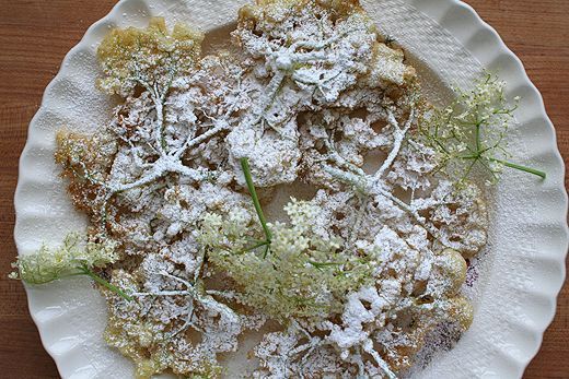 Funnel Cake recipe, Elderflower recipes, Fritter recipe, cooking with flowers