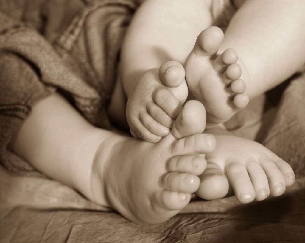 IMAGE: http://i15.photobucket.com/albums/a357/bogleric/BPhoto/IMG_0978.jpg