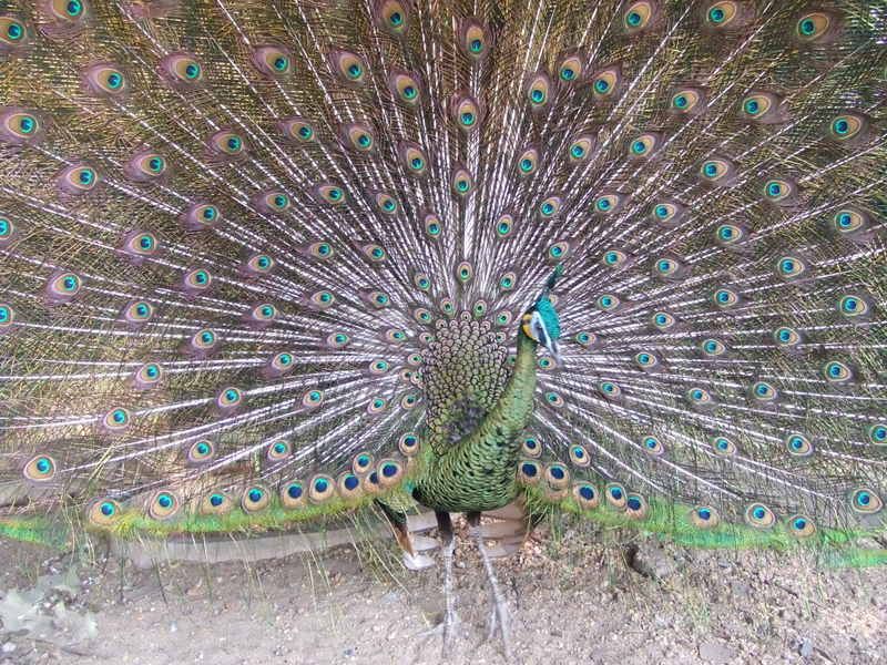 Photobucket - Video and Image Hosting