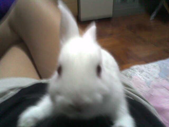 Photobucket - Video and Image Hosting