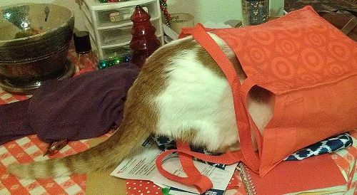 COLBYINBAG2_zps367ccc07.jpg