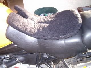 IMGP0428.jpg