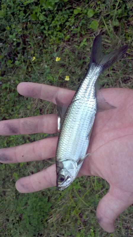 2011-11-22_10-30-26_522-1.jpg