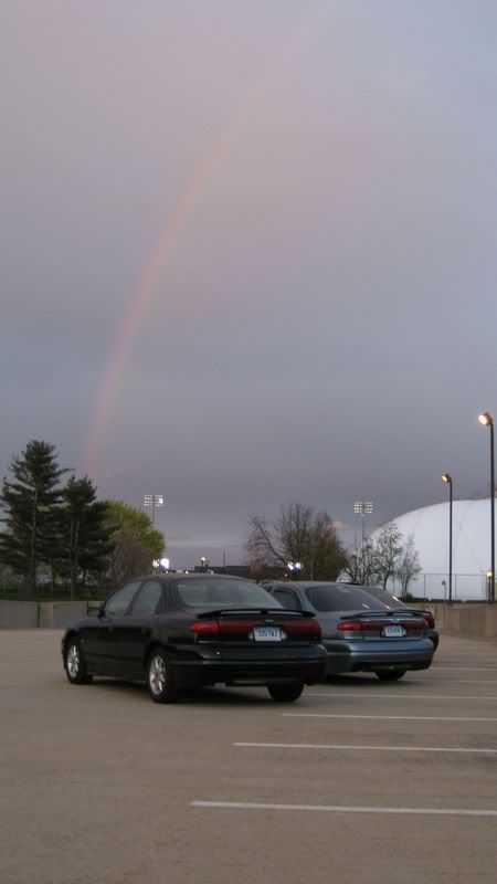 IMG_0208_792x1408.jpg