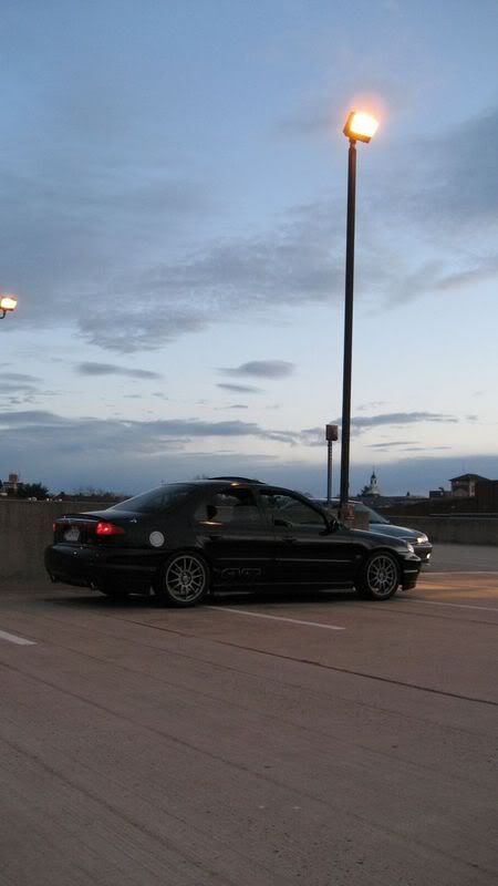 IMG_0229_792x1408.jpg