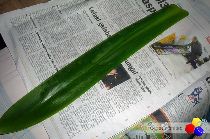 ©2010mknaceunlimited : Klik untuk melihat imej yang lebih besar