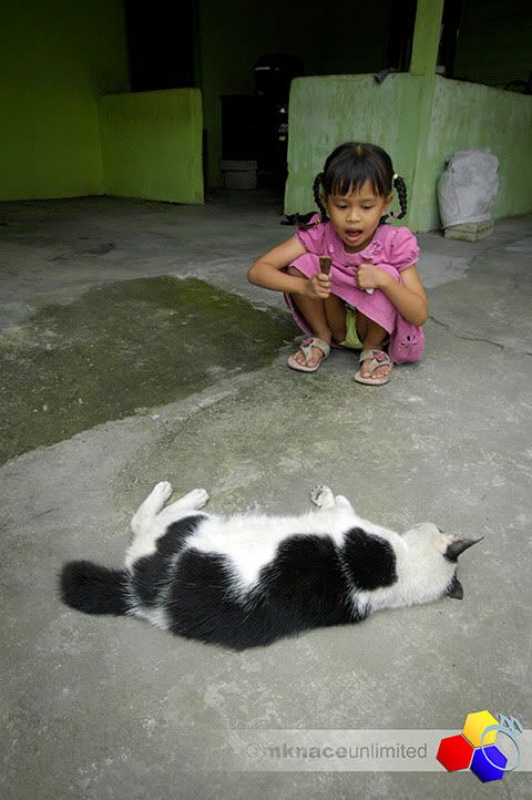 ©2010mknaceunlimited : Klik untuk melihat imej yang lebih besar