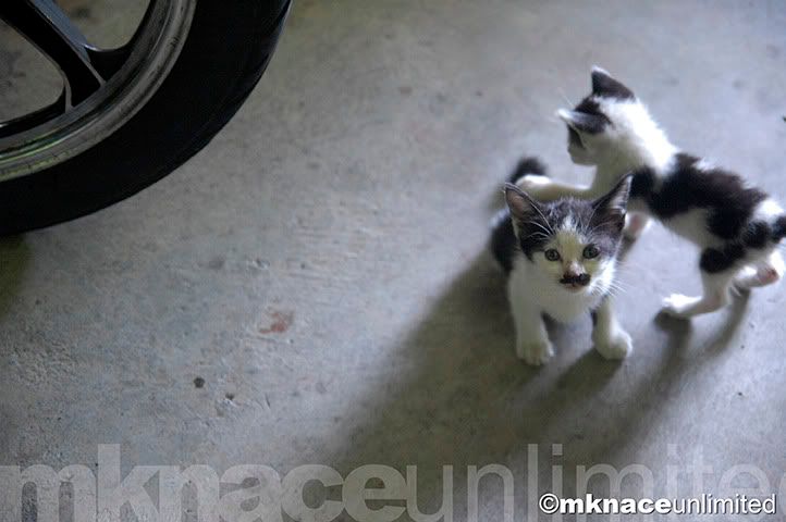©2010mknaceunlimited