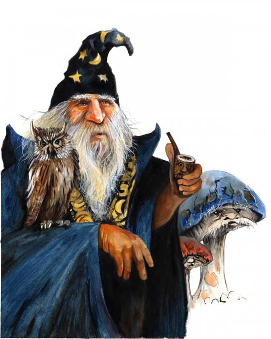 wizard1e.jpg