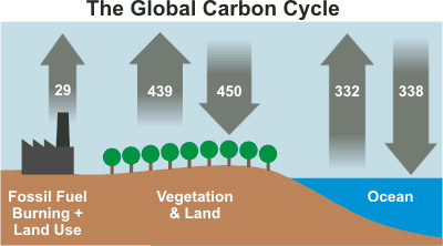  photo Carbon_Cycle_zpsc8e4a213.gif