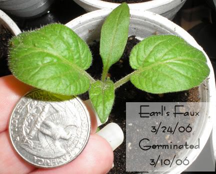 Image hosting by Photobucket