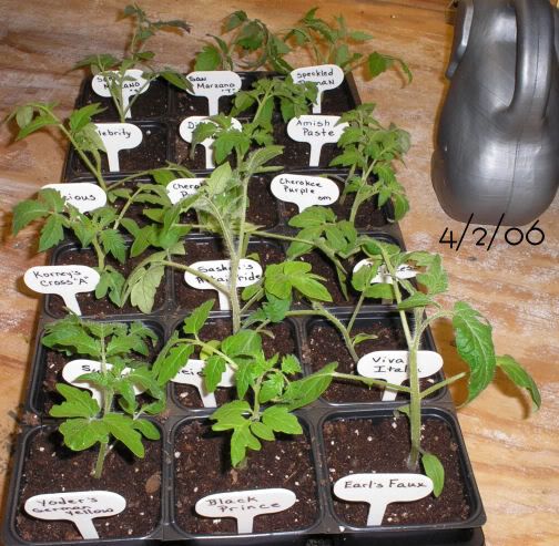 Image hosting by Photobucket