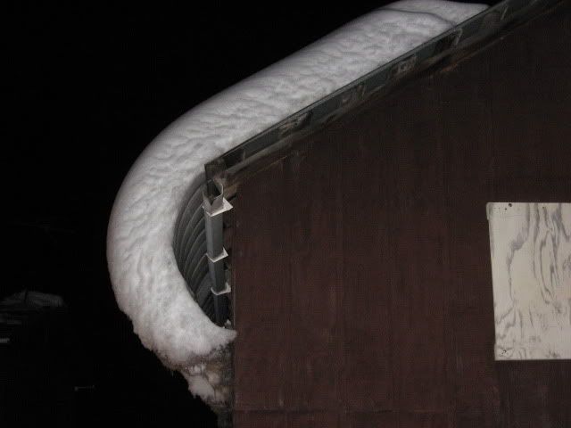 IMG_4962.jpg