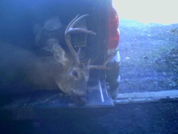 8pt.jpg