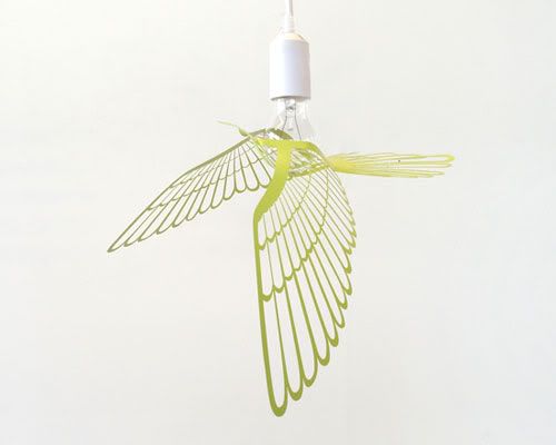 bird light