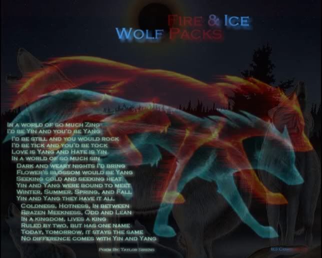 Fire and Ice Wolf Packs Pictures, Images and Photos