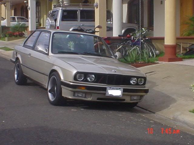 DSC00342.jpg