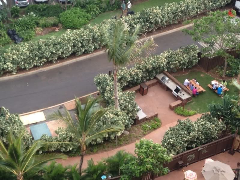 Aulani BBQ Grills open The DIS Disney Discussion Forums