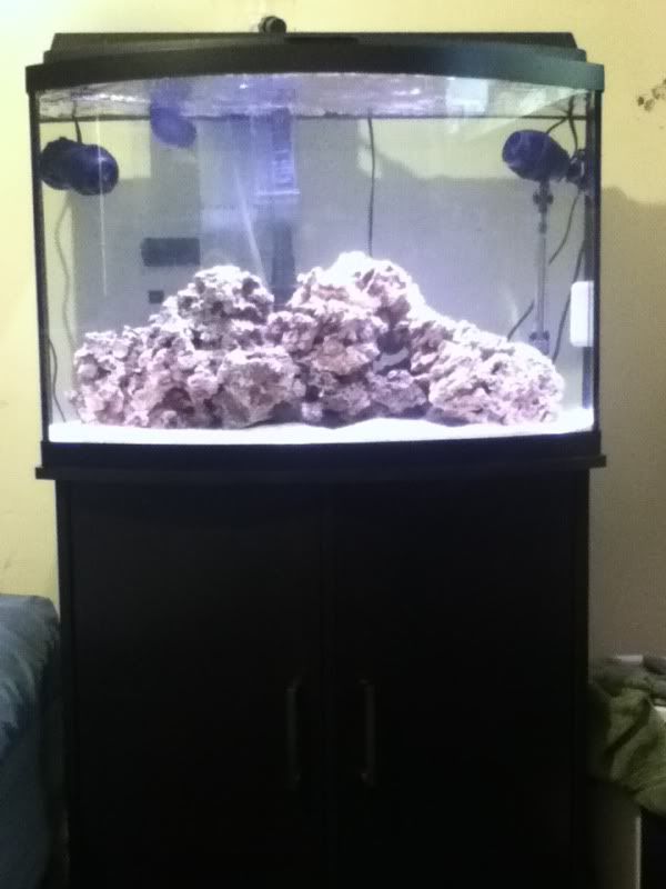 aqueon 36 gallon bow front