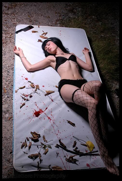 Photo Sharing and Video Hosting at Photobucket