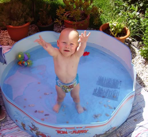 [img width=517 height=479]http://i15.photobucket.com/albums/a364/moon_nick/IMGP09099.jpg[/img]