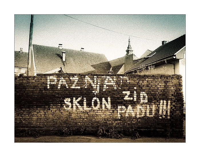 zid.jpg