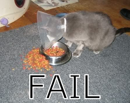 http://i15.photobucket.com/albums/a365/Ookamikijo/fail.jpg