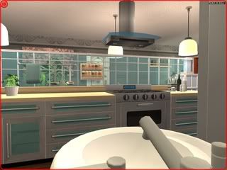capture_11092008_213539.jpg