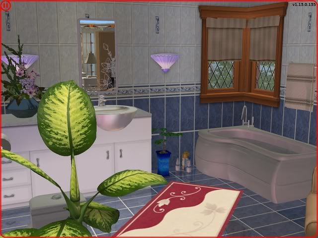 capture_18082008_110241b.jpg