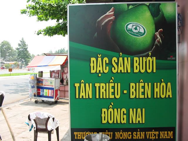 BuoiTanTrieu-8853.jpg Bưởi Tân Triều image by Cuoi2005