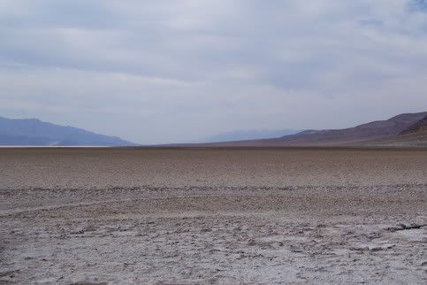 100_0337.jpg