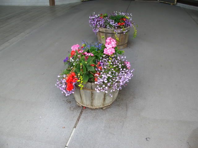IMG_0020.jpg