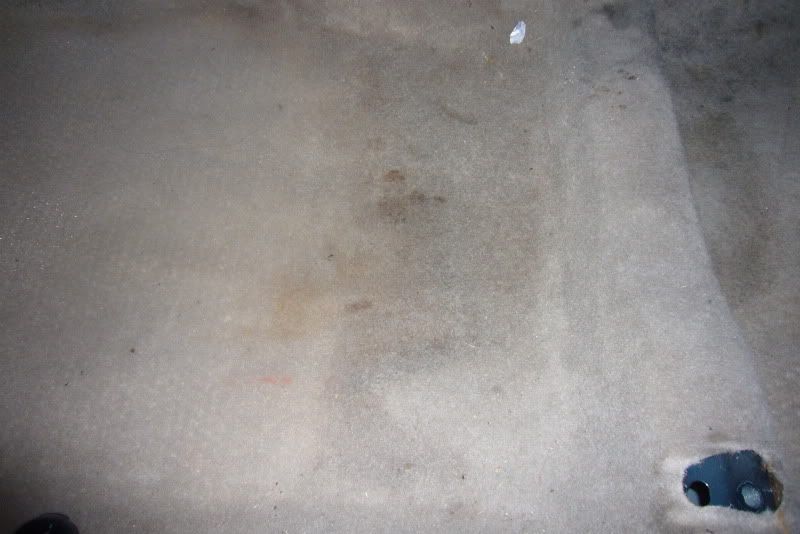 P1050280.jpg