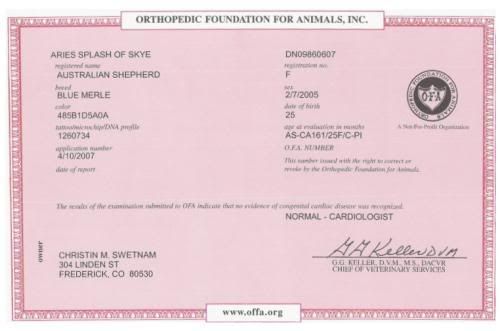OFA-Cardiac1.jpg