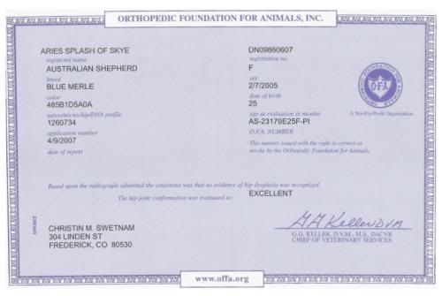 OFA-Hips1.jpg