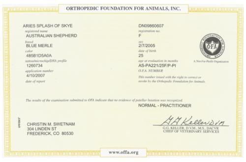 OFA-Patellas1.jpg