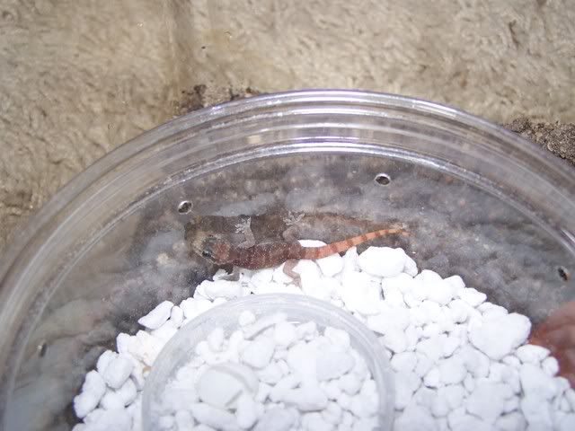 000_0162.jpg