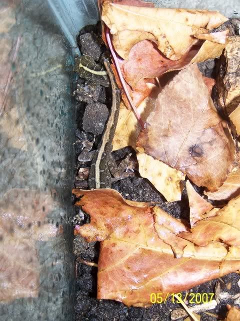 000_0498.jpg