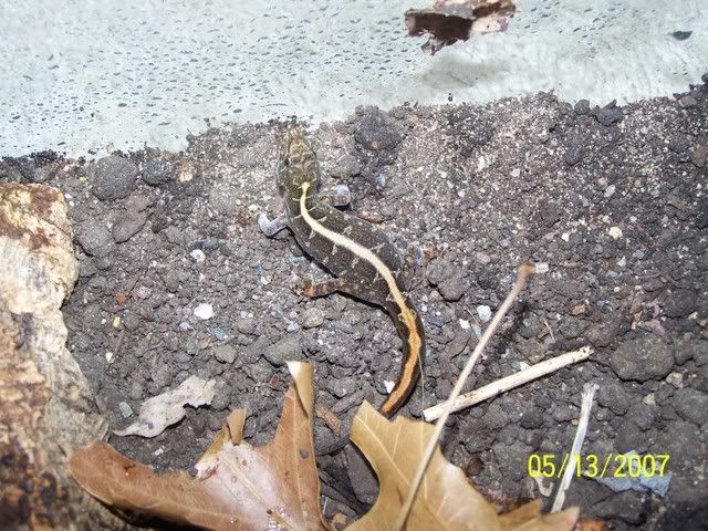 000_0500.jpg