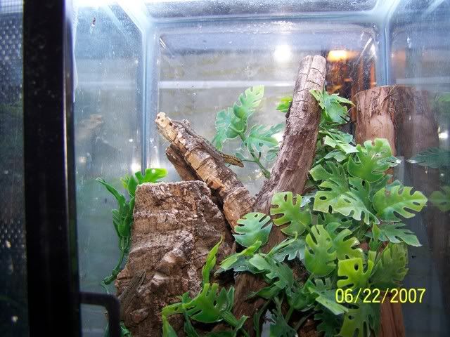 000_0677.jpg